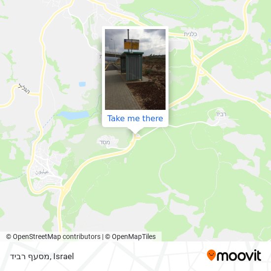 מסעף רביד map