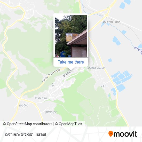 הצאלים/האורנים map