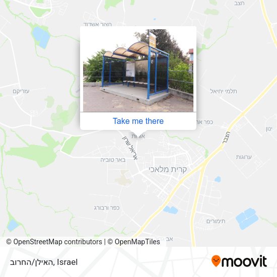 האילן/החרוב map