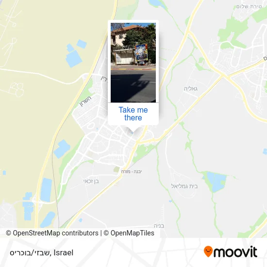 Карта שבזי/בוכריס