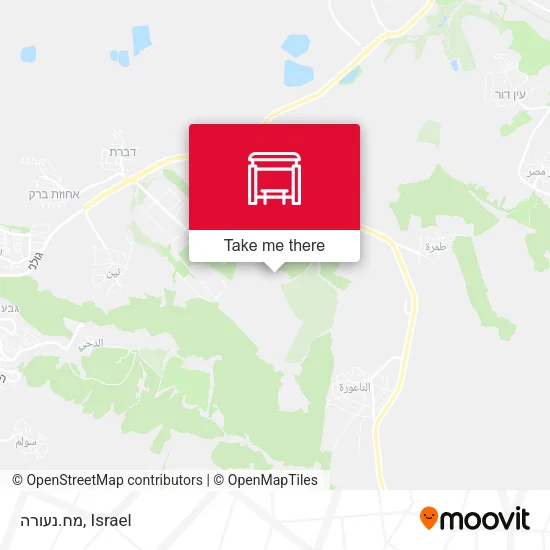 Карта מח.נעורה