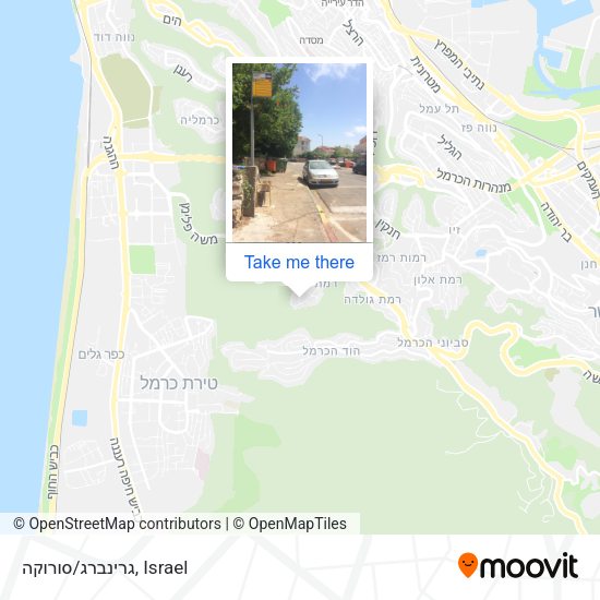גרינברג/סורוקה map