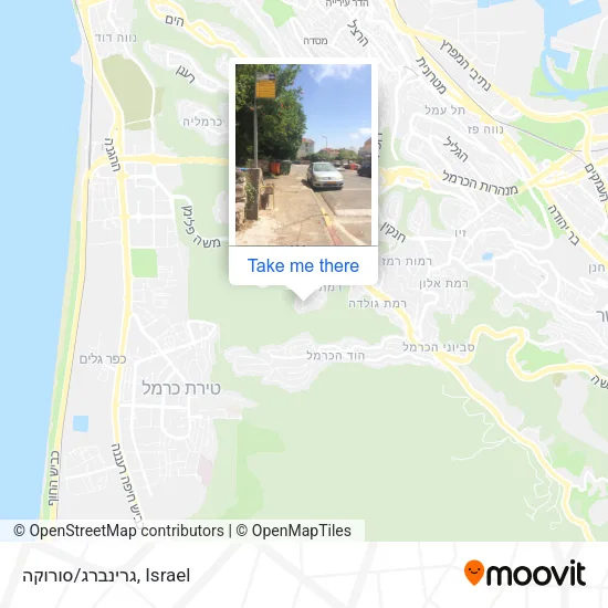 Карта גרינברג/סורוקה