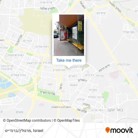 Карта מרגולין/ברנדייס