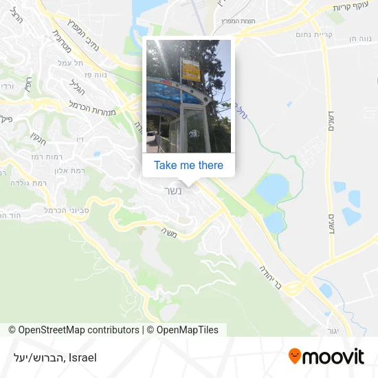 Карта הברוש/יעל