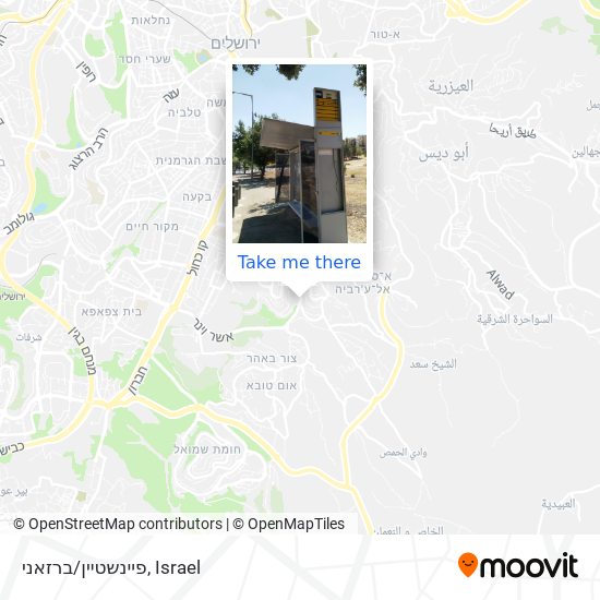 פיינשטיין/ברזאני map