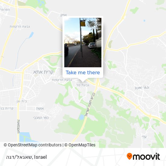 שאגאל/דגה map