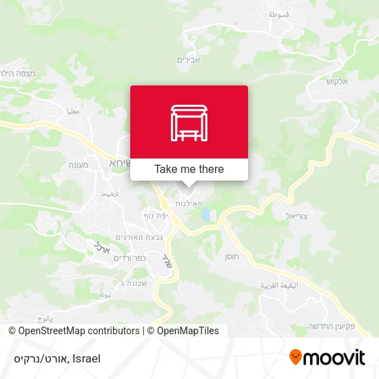 Карта אורט/נרקיס