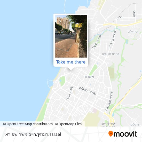 רוגוזין/חיים משה שפירא map