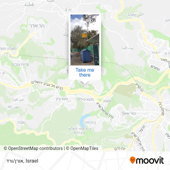 אורן/ורד map