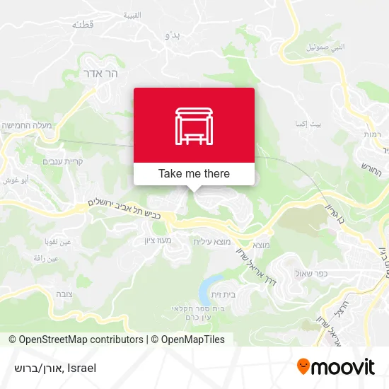 אורן/ברוש map