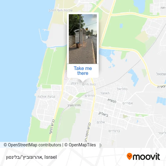 Карта אהרונוביץ'/בלינסון