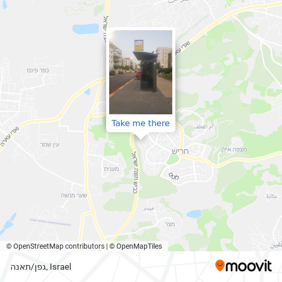 גפן/תאנה map