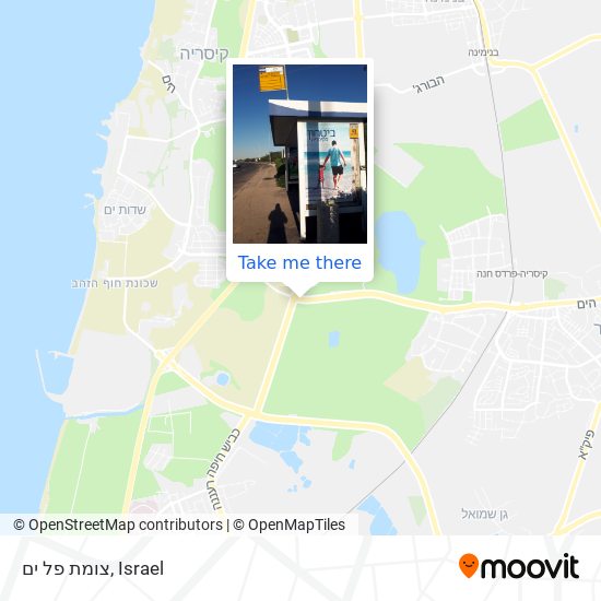 צומת פל ים map