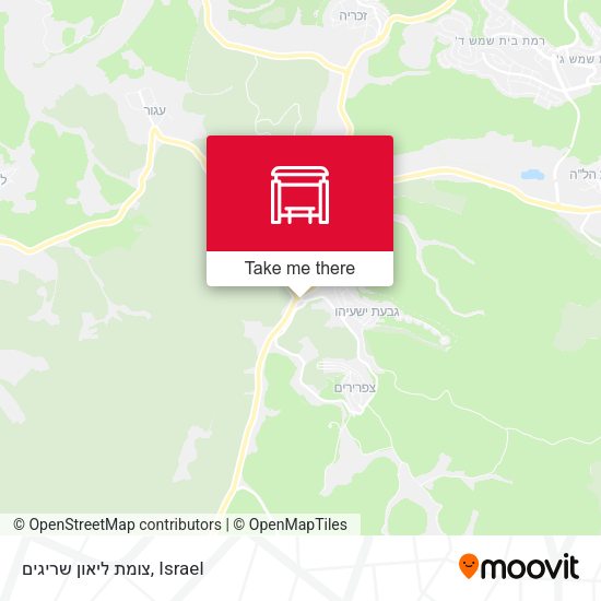 צומת ליאון שריגים map
