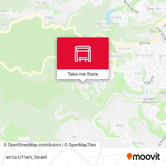Карта הארז/הברוש