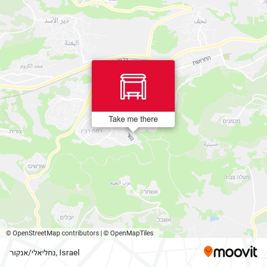 נחליאלי/אנקור map