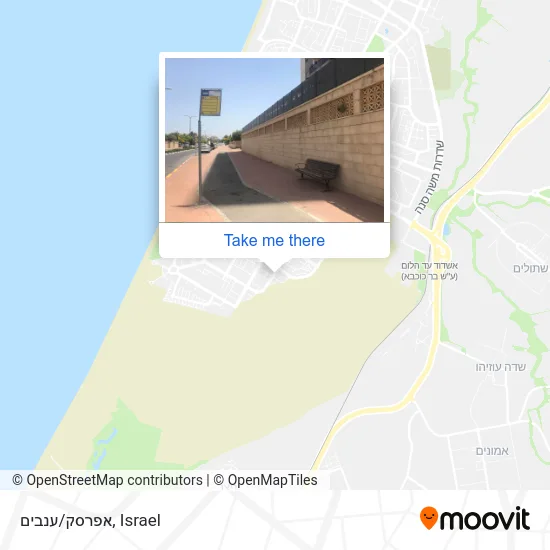 Карта אפרסק/ענבים