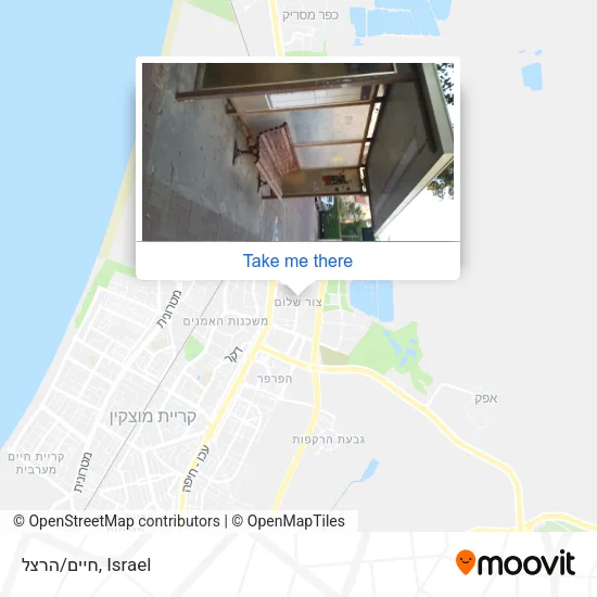 Карта חיים/הרצל