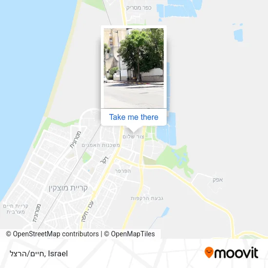 Карта חיים/הרצל