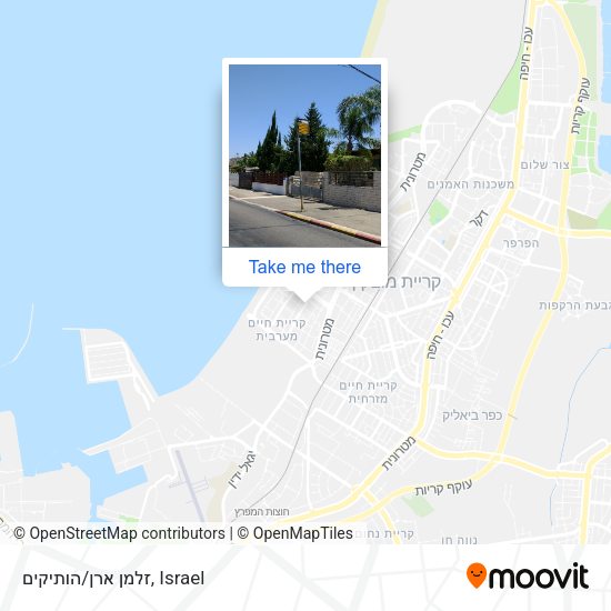 זלמן ארן/הותיקים map