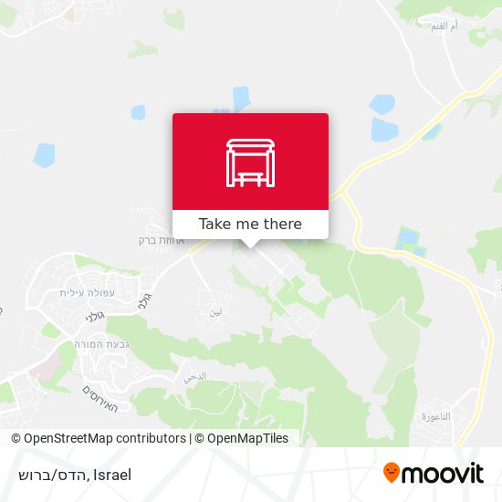 הדס/ברוש map