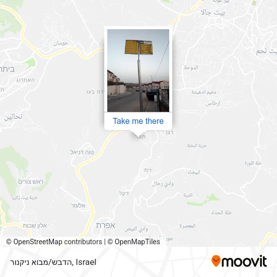 Карта הדבש/מבוא ניקנור