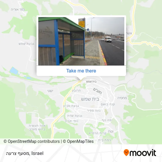 Карта מסעף צרעה