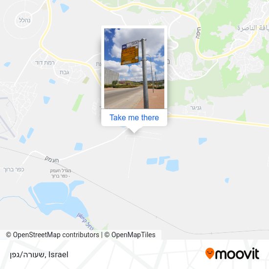 שעורה/גפן map