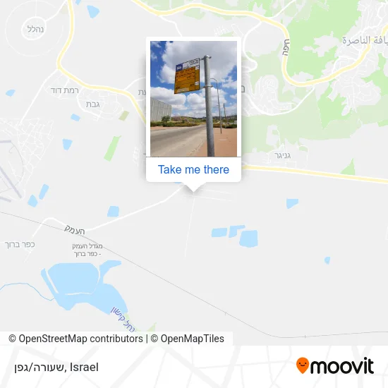 Карта שעורה/גפן