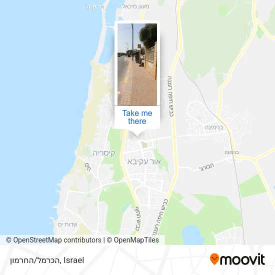 הכרמל/החרמון map