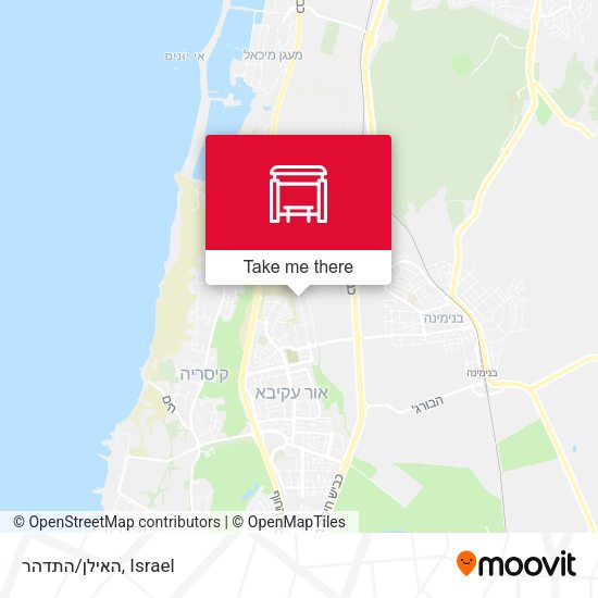 האילן/התדהר map