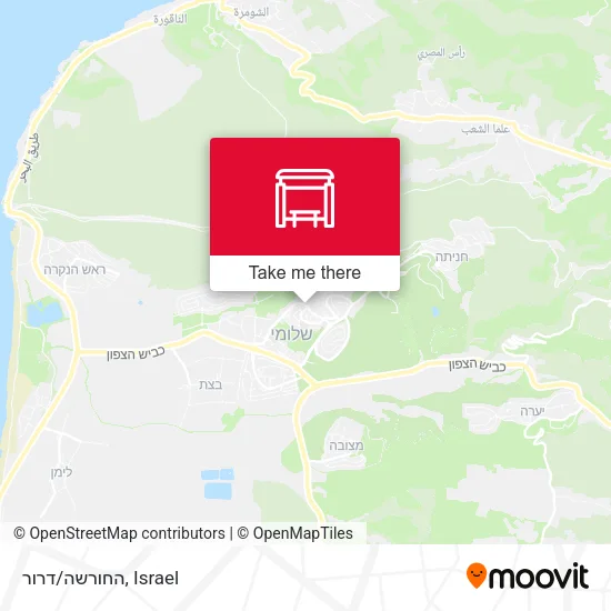 Карта החורשה/דרור