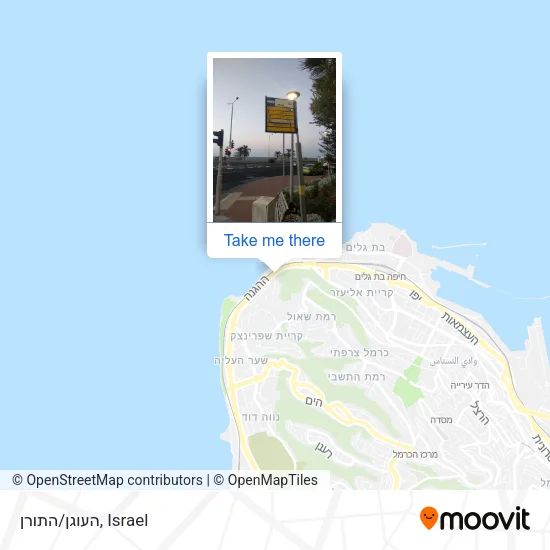 Карта העוגן/התורן