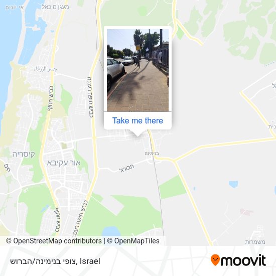 צופי בנימינה/הברוש map