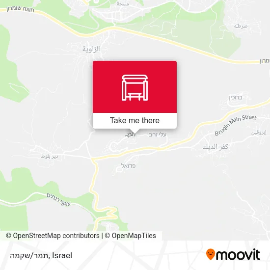 Карта תמר/שקמה
