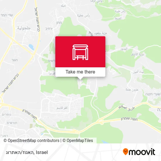 Карта האגוז/האתרוג