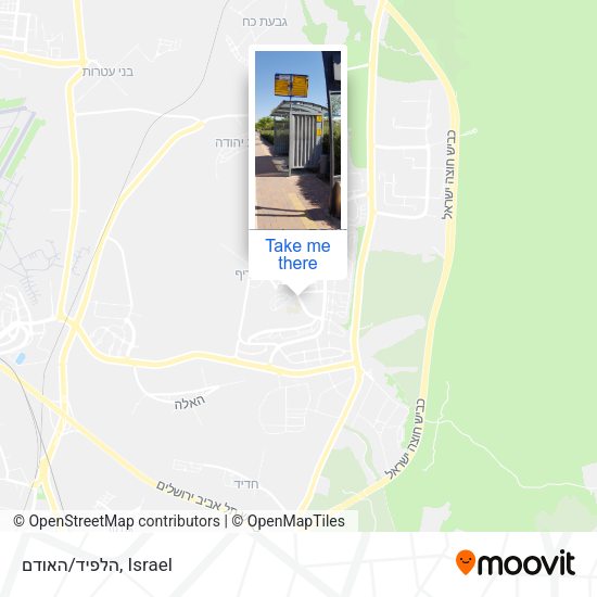 הלפיד/האודם map