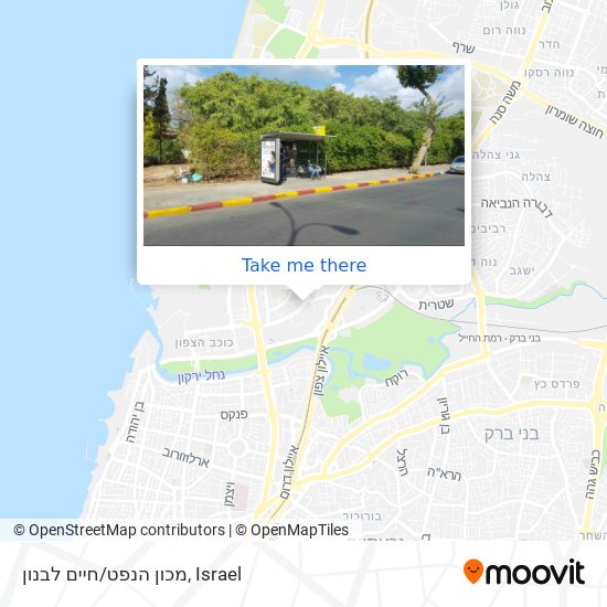 מכון הנפט/חיים לבנון map