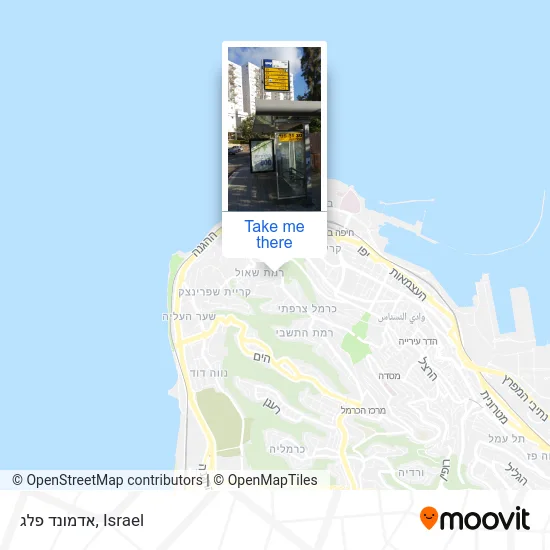 Карта אדמונד פלג