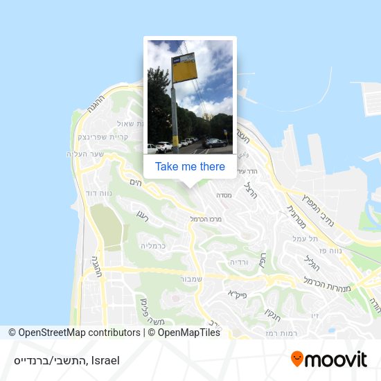 התשבי/ברנדייס map