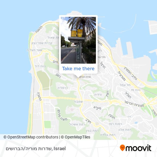 שדרות מוריה/הברושים map