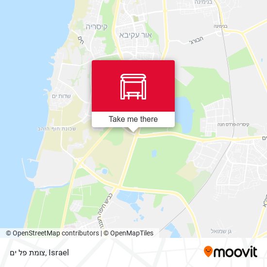 צומת פל ים map