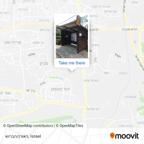 Карта האורן/הברוש