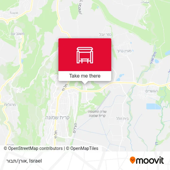 אורן/תבור map