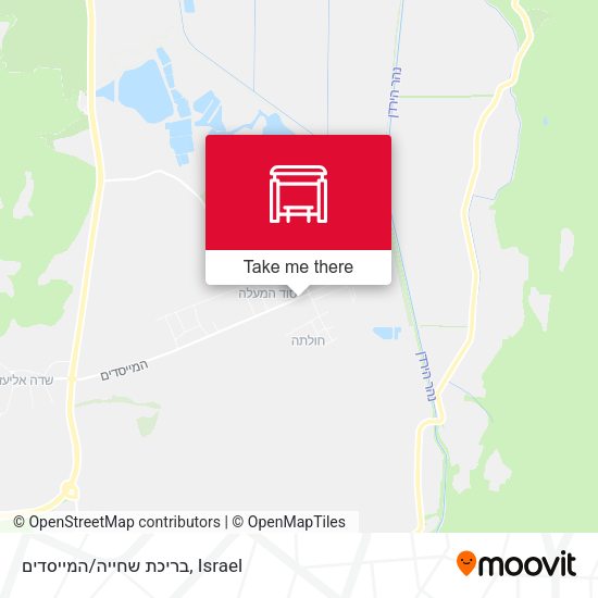 בריכת שחייה/המייסדים map