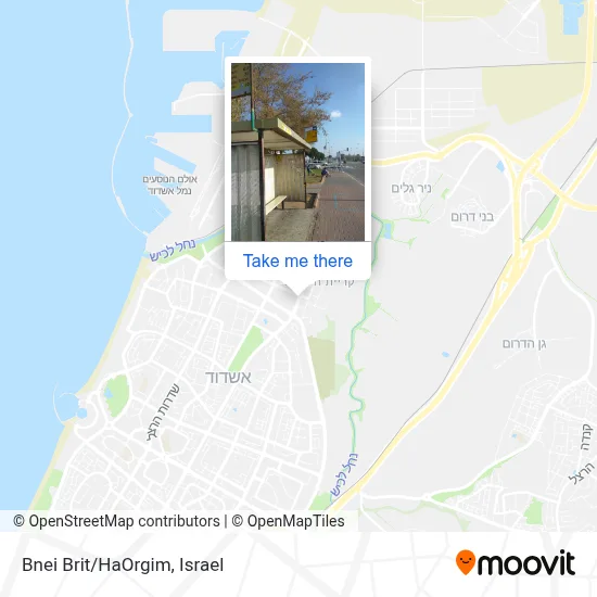 Bnei Brit/HaOrgim map