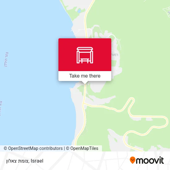 Карта צומת צאלון