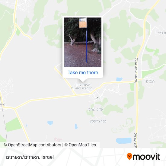 הארזים/האורנים map