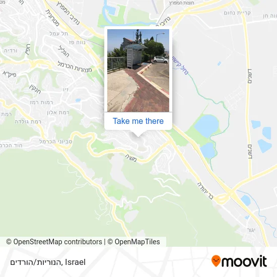 Карта הנוריות/הורדים